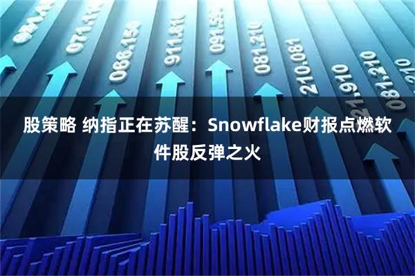 股策略 纳指正在苏醒：Snowflake财报点燃软件股反弹之火